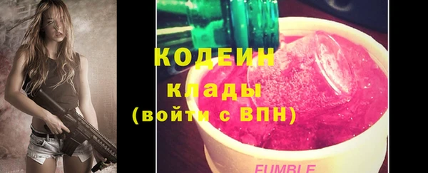 индика Володарск