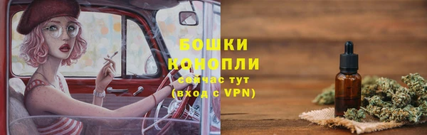 индика Володарск