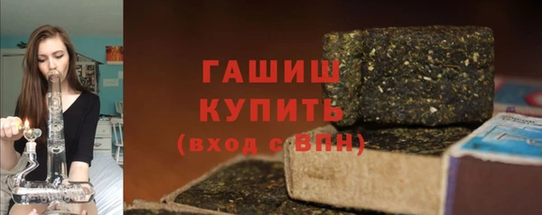 индика Володарск