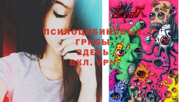 индика Володарск