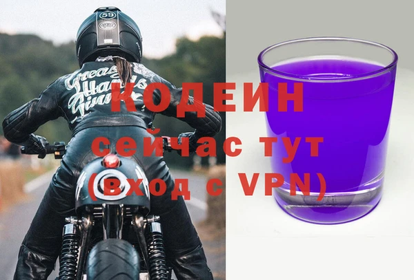 индика Володарск