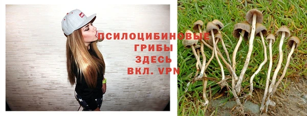 индика Володарск