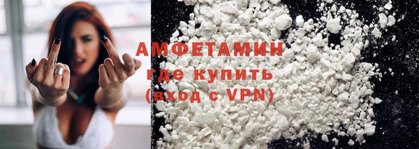 индика Володарск