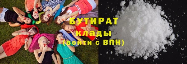 индика Володарск