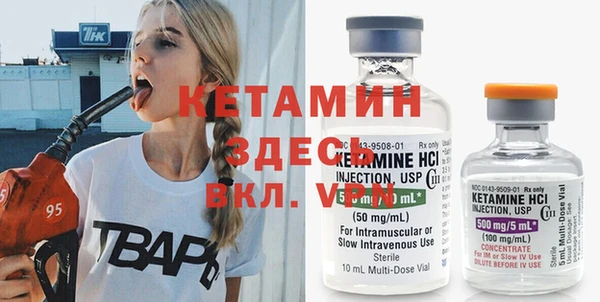 индика Володарск